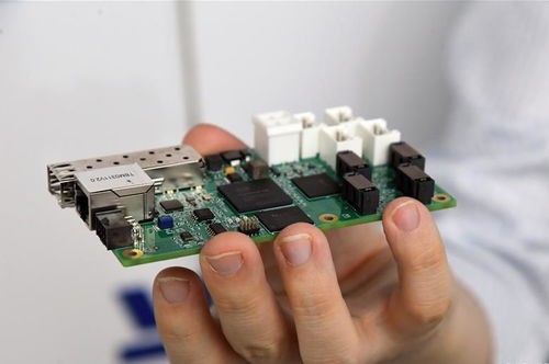 北京城市副中心东南生态门户景观正式开放，智慧化信息系统集成服务提升游园体验